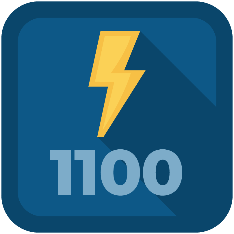 Blitz 1100