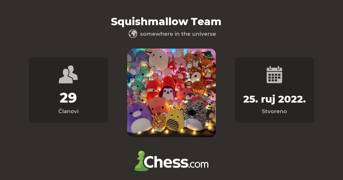 Squishmallow Team Šahovski klub