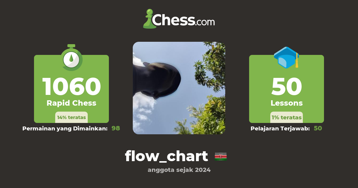 flow_chart - Profil Catur - Chess.com