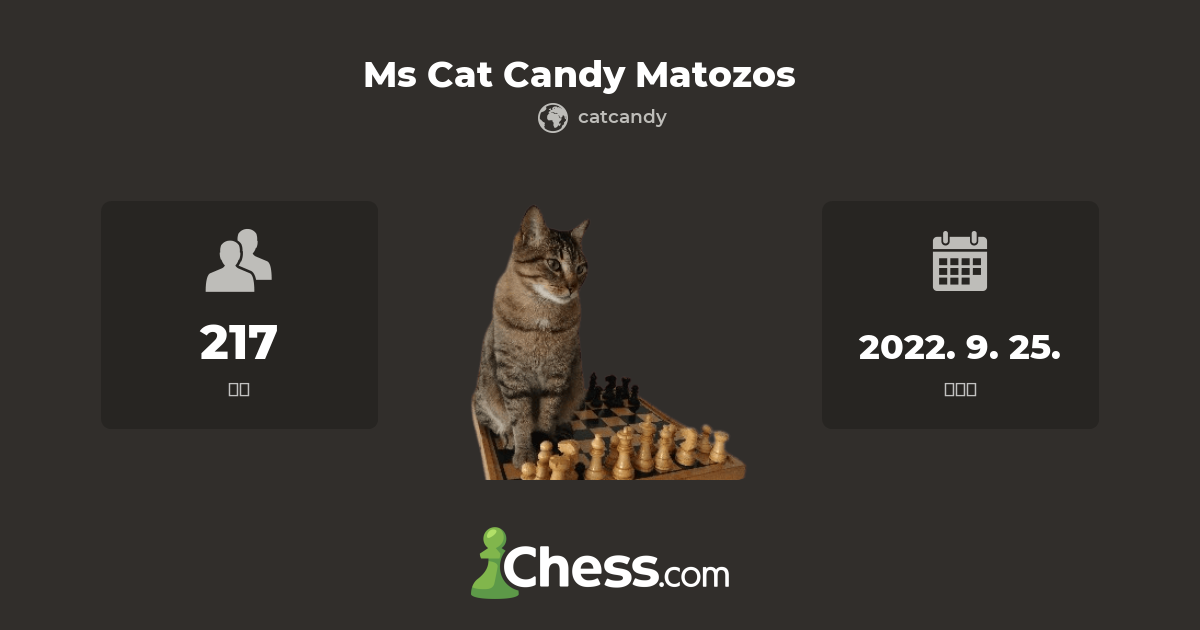 Ms Cat Candy Matozos - 체스 클럽 - Chess.com Ms Cat Candy Matozos - 체스 클럽