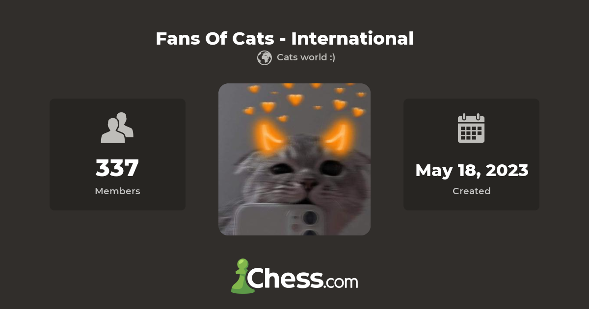 Fans Of Cats International Chess Club