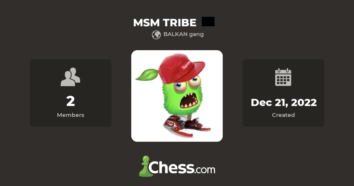 MSM TRIBE Chess Club