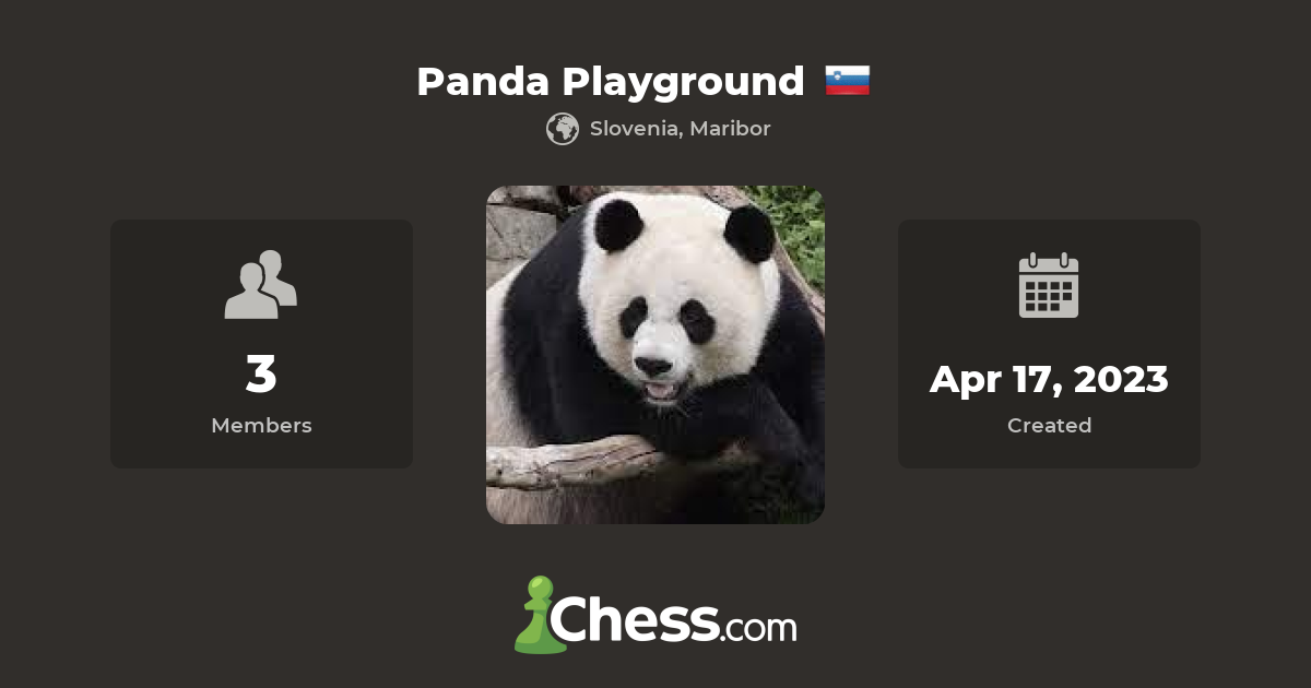 Panda playground chess club chess