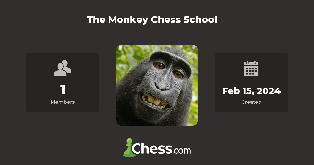 The Monkey Chess School Chess Club Chess