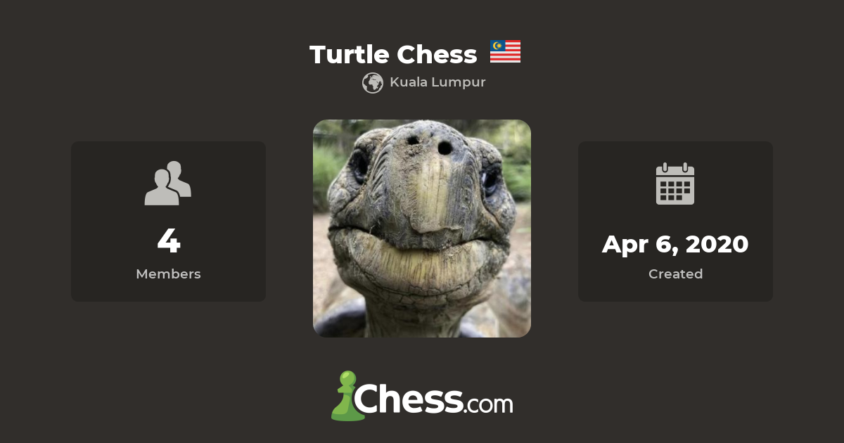 Turtle Chess Chess Club