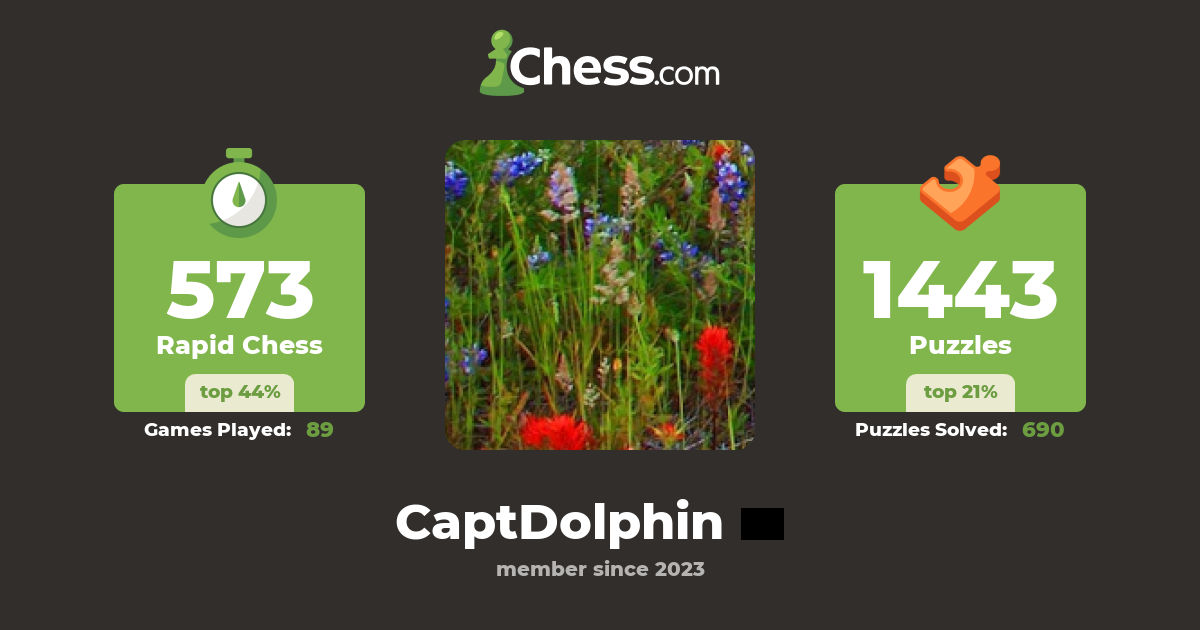 CaptDolphin - Chess Profile - Chess.com