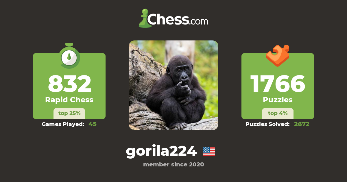 gorila224 Chess Profile