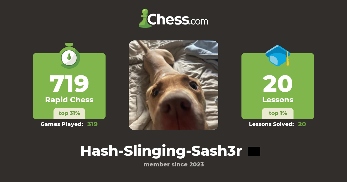 hunter Newcomb (Hash-Slinging-Sash3r) - Chess Profile - Chess.com