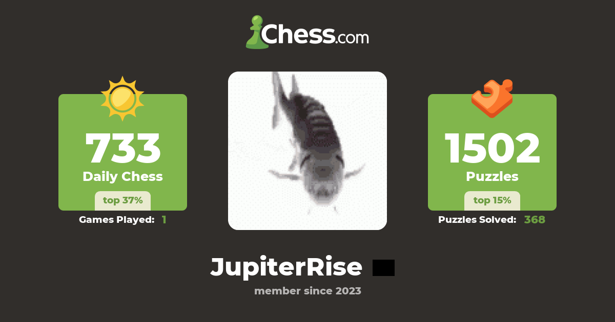 Jupiterrise Chess Profile Chess