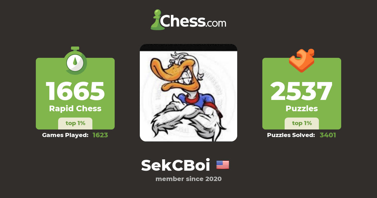 SekCBoi - Chess Profile - Chess.com SekCBoi - Chess Profile